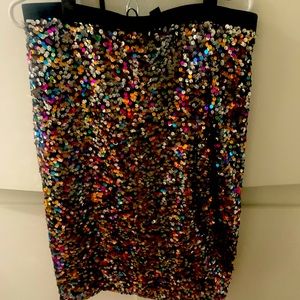 Beautiful sequined H & M pencil skirt to wear for a night out on the town!!